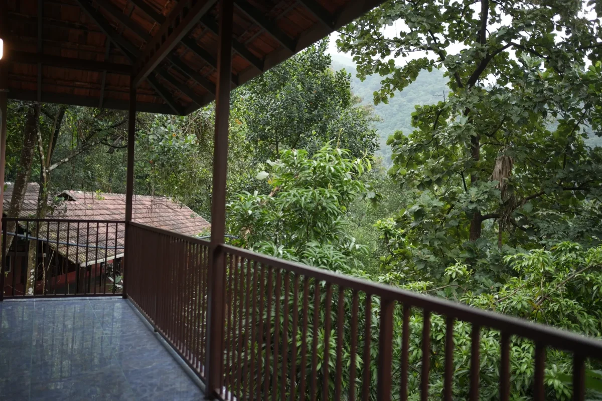 rs=w_2560,h_1707 (4)